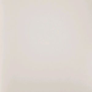 Meet your Posher, Tonya